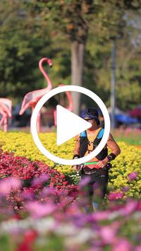 BIB:  <button type="button" onclick="openModal(27588581)" class="btn btn-primary btn-sm float-right" data-toggle="modal" data-target=".modal-high-quality">
                <i class="fa fa-download"></i> Download
                </button>